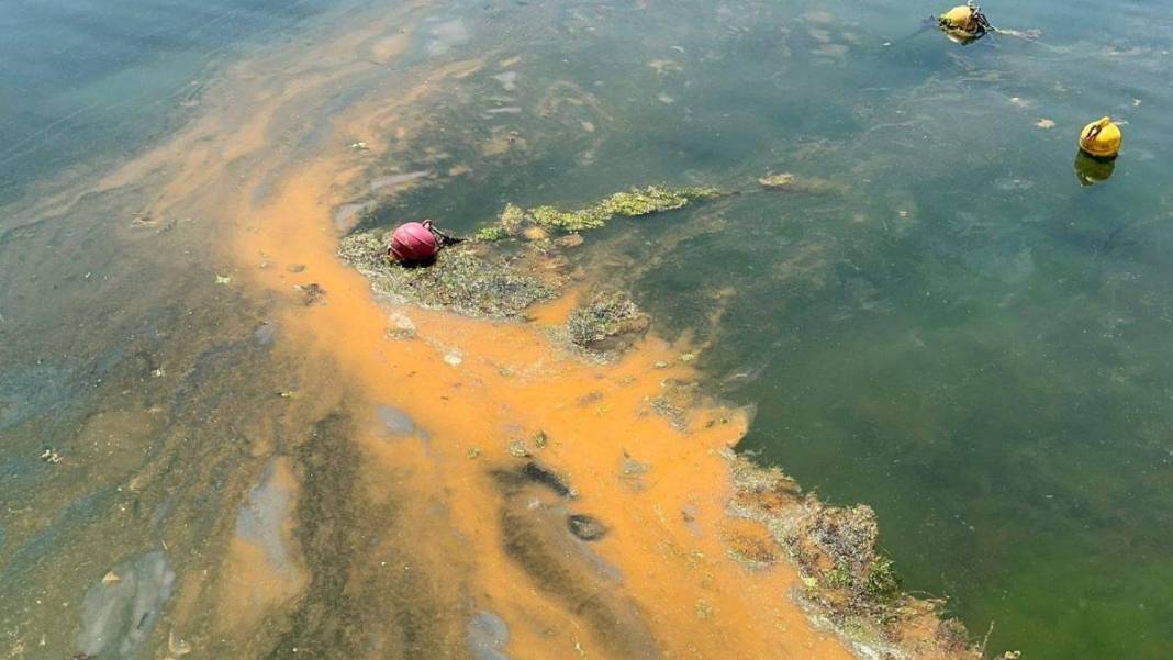 Tekirdağ'da çevre felaketi! 12 bin litre mazot Marmara'ya sızdı 4